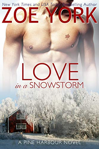 Love in a Snowstorm