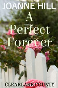 A Perfect Forever (Clearlake County)