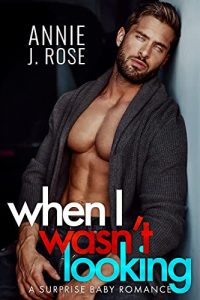 When I Wasn’t Looking: A Secret Baby Romance (Recovery Ranch)