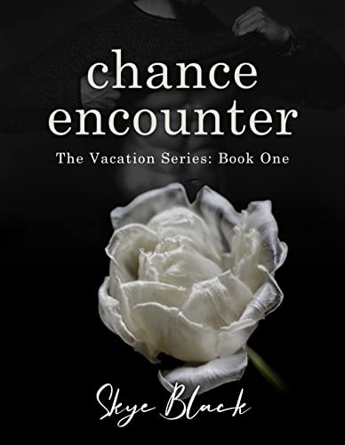 chance encounter (the vacation series Book 1)