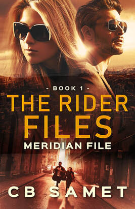 The Rider Files Romantic Suspense Series : Meridian File