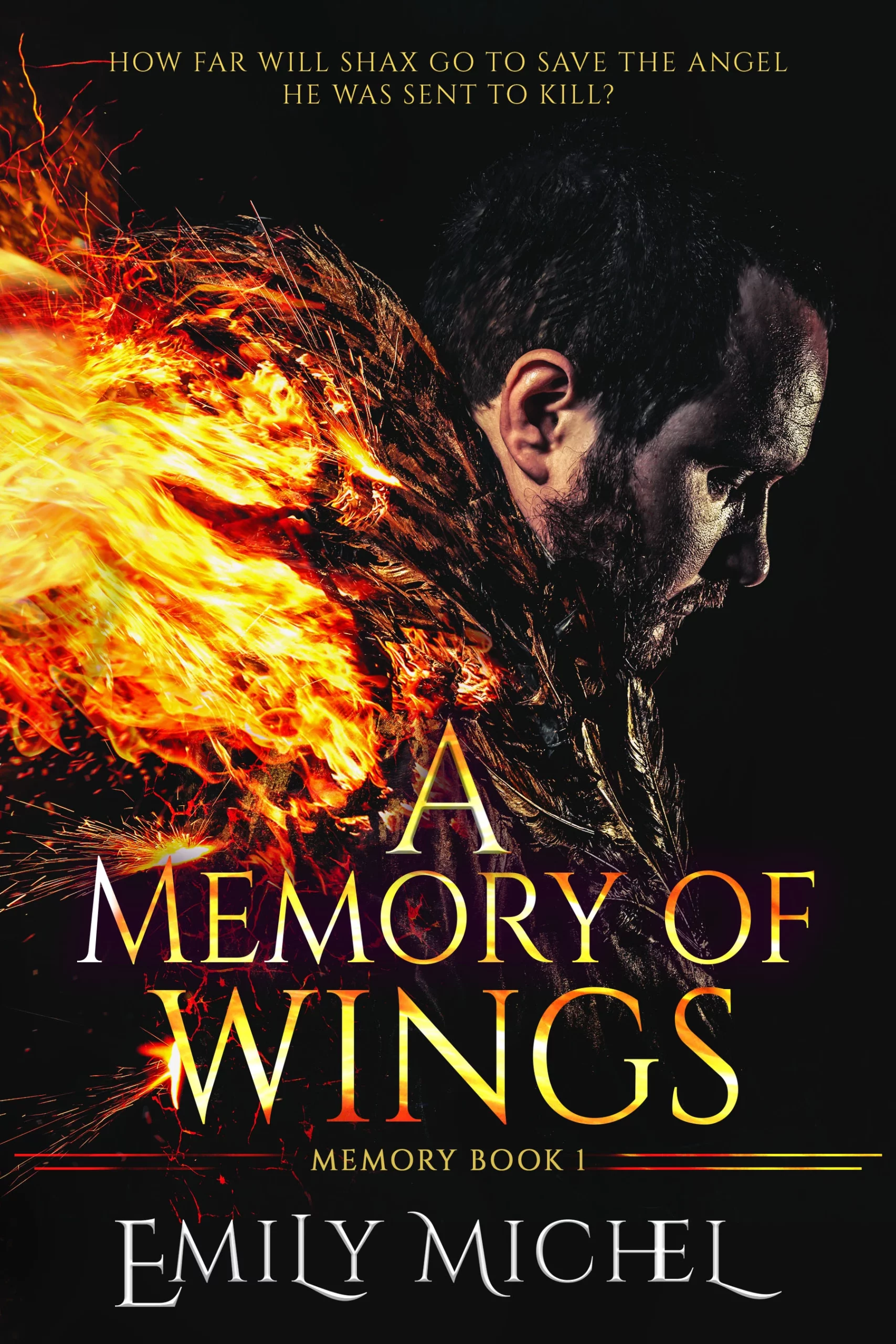 A Memory of Wings