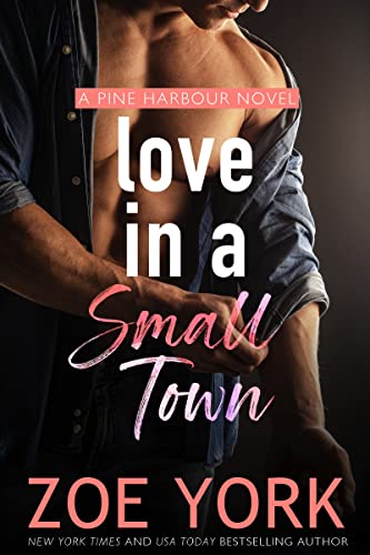 Love in a Small Town (Pine Harbour Book 1)