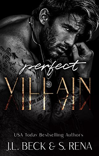 Perfect Villain : A Dark Mafia Romance (Dark Lies Book 1)