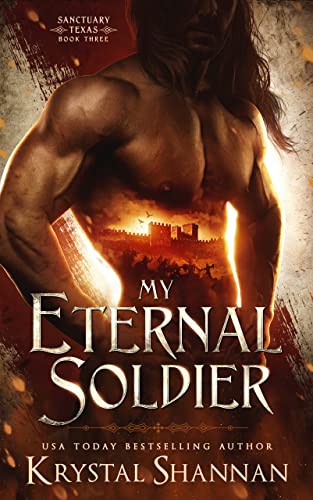 My Eternal Soldier Book 3