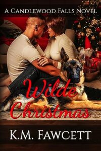 Wilde Christmas: A Candlewood Falls Novel (Small Town Wilde Romance Book 2)