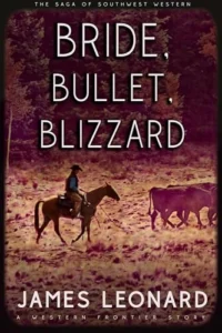 Bride, Bullet, Blizzard: A Western Frontier Story