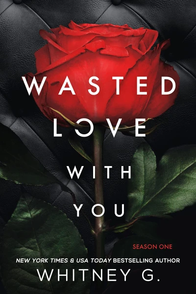 Wasted Love with You : A Spicy & Romantic Suspense