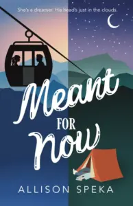 Meant for Now: A small town, black cat golden retriever romance.