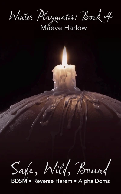 Safe, Wild, Bound: BDSM Reverse Harem Erotica: Short Smut for Women (Winter Playmates Book 4)