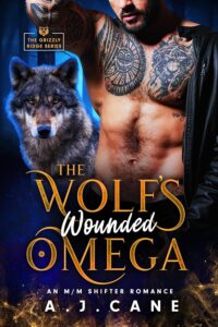 The Wolf’s Wounded Omega: An MM Shifter Romance (Grizzly Ridge Book 2)