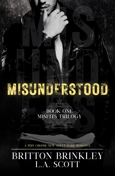 Misunderstood: A Why Choose New Adult Dark Romance (Misfits Book 1)