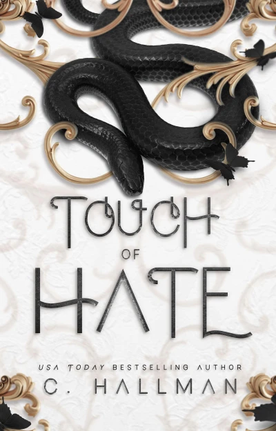 Touch of Hate (Hate and Chaos Duet Book 1)